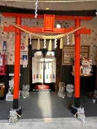 長崎眼鏡橋找愛心石❤️捲尾貓神社找貓神