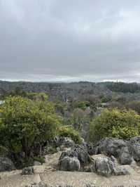 Shilin amazing stone forest