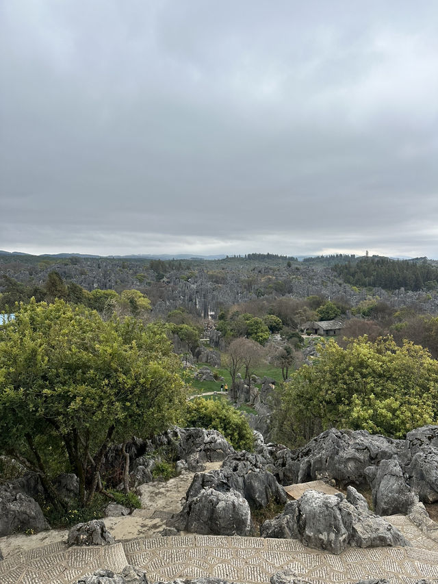 Shilin amazing stone forest
