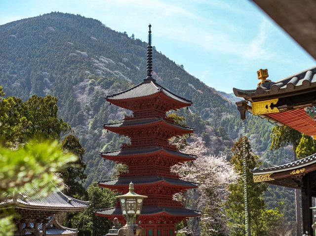 Blossoms in Stillness: Springtime at Minobusan Kuonji