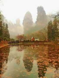 Autumn Magic in Zhangjiajie: A Peaceful Escape into Nature's Colors