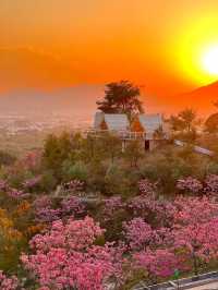 Explore Qinling Mountains