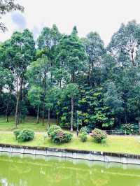 “KL’s Green Jewel: Explore Perdana Botanical Garden”