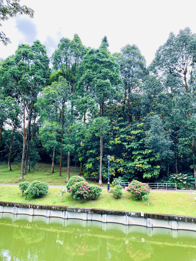 “KL’s Green Jewel: Explore Perdana Botanical Garden”