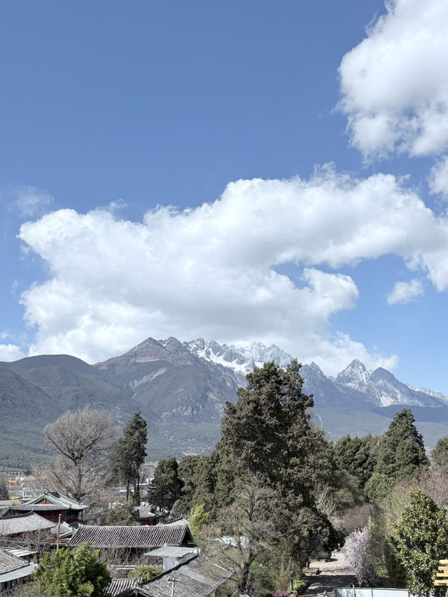 Altitude & Attitude: A First-Timer’s Guide to Yunnan’s Big Four