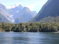 #米爾福德峽灣Milford Sound-紐西蘭南島