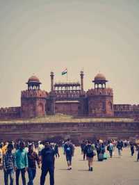 Mornings in Delhi 