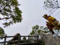 Serenity at Chin Swee Temple