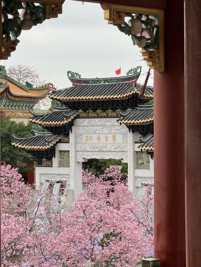 Baomo Garden: A Lingnan Masterpiece of History and Harmony