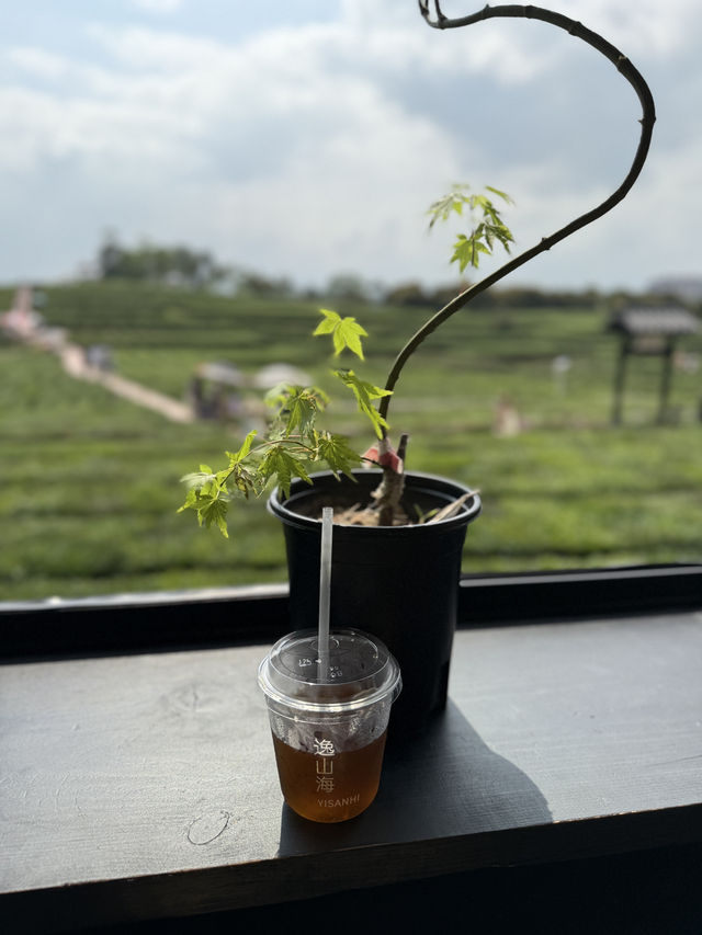 假期出逃，远离城市，喝一口热茶🍵