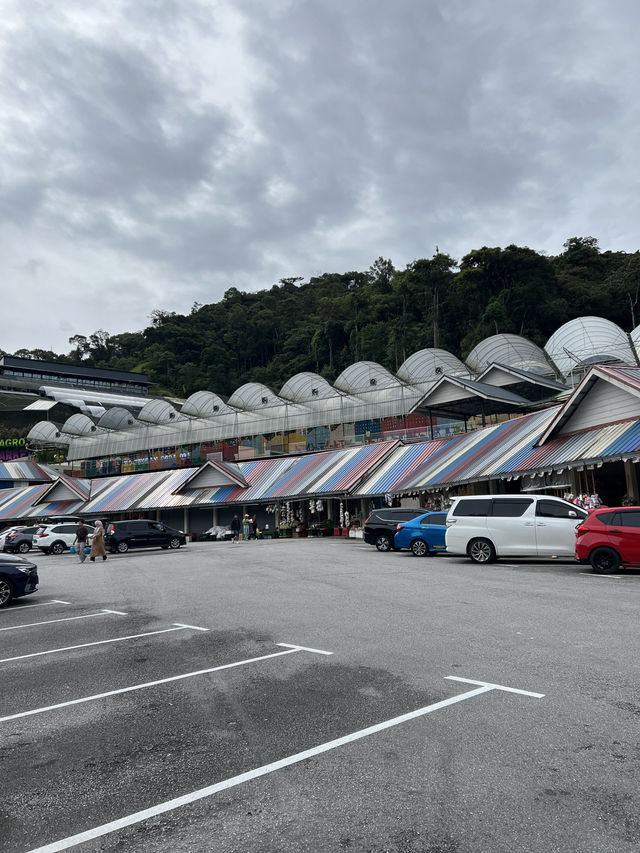 Delightful destination in Cameron Highlands
