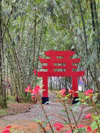 Bamboo-Themed Attraction ◄Putuo Village✨Purple Bamboo Valley► [KULAI@JOHOR]