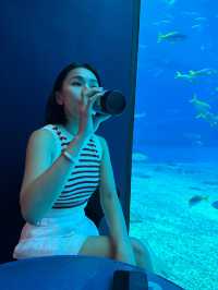  Okinawa Churaumi Aquarium 