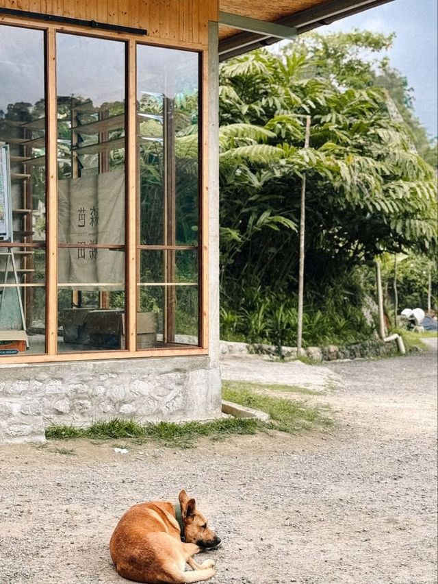 Genting Highlands: A Cool Escape Near Kuala Lumpur 