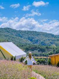 THE CAMP VILLE DALAT 