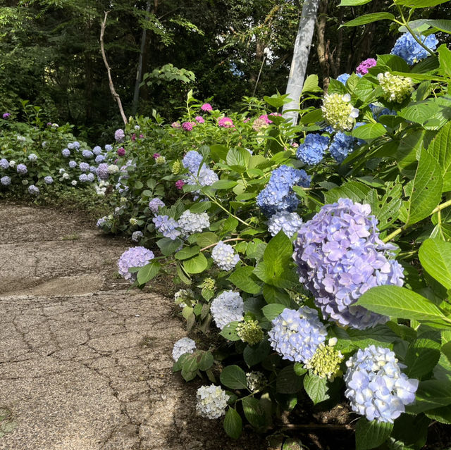 【矢田丘陵】🗻　矢田山・松尾山