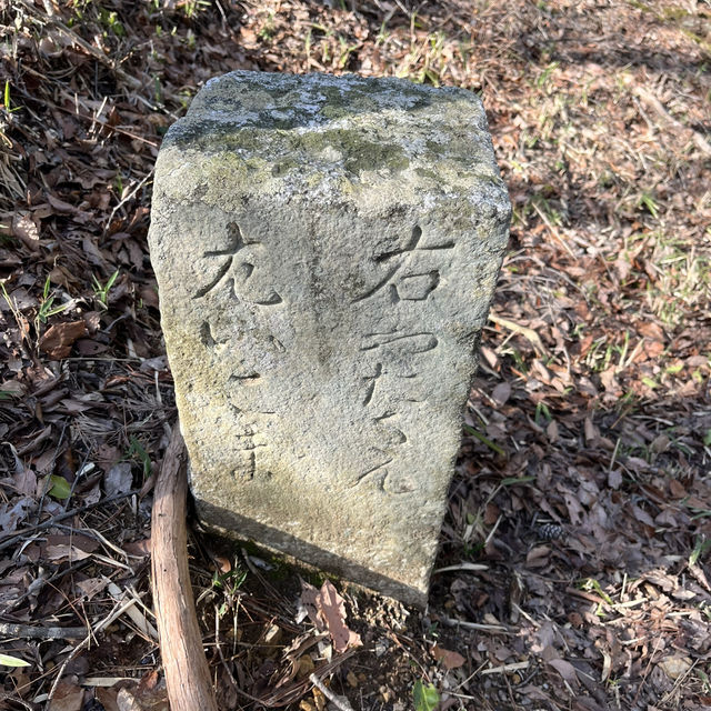 【矢田丘陵】🗻　矢田山・松尾山