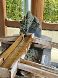 Spring Serenity at Suitengu Shrine