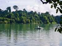 Ditch the City, Go MacRitchie