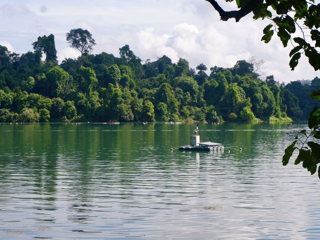 Ditch the City, Go MacRitchie