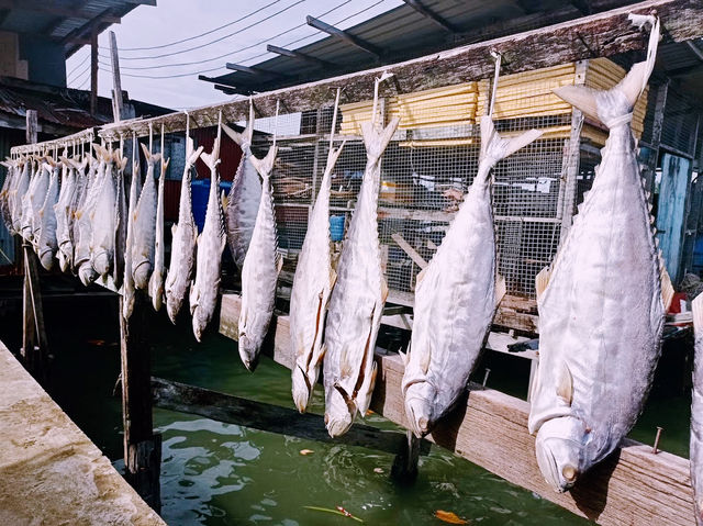 🐟 Kg Pukat Fisherman Village: Where the Sea Breeze & Salted Fish Tell Stories!🌊