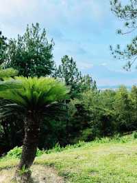 “Taman Saujana Hijau: Putrajaya’s Emerald Escape”