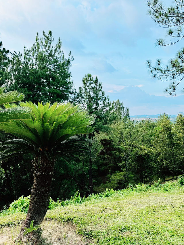 “Taman Saujana Hijau: Putrajaya’s Emerald Escape”