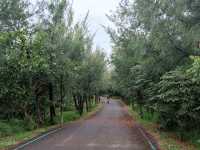 #臺東森林公園-臺東縣臺東市