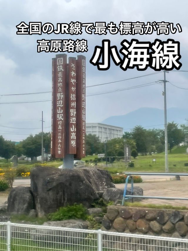 【JR東日本】長野の高原を走るJR小海線