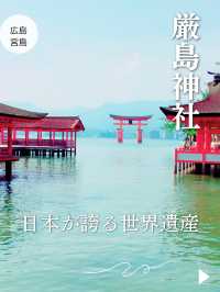 【広島⛩️宮島】海に佇む鳥居🌅美しい世界遺産✨