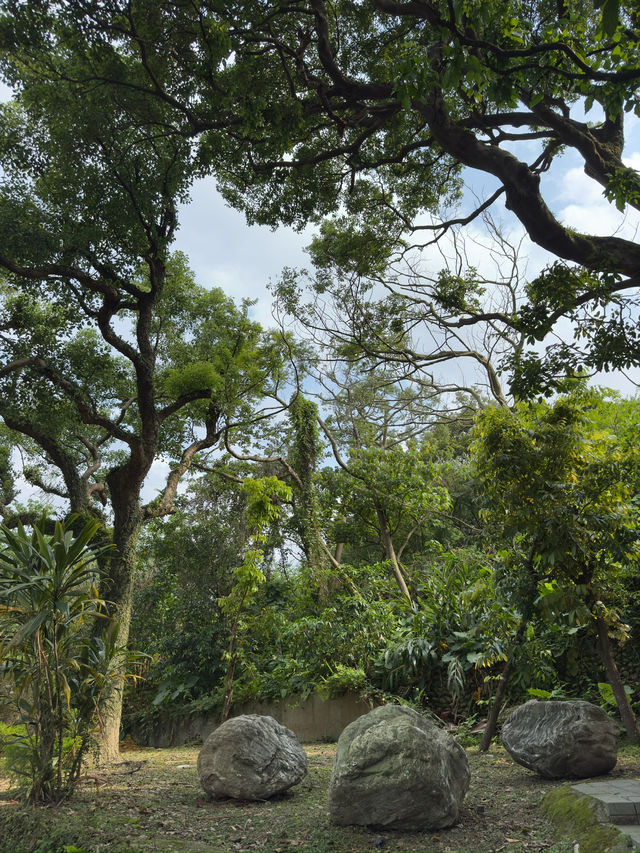台北｜自來水園區與小觀音山生態步道一日遊
