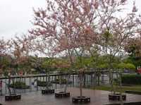 阿里山國家風景區-管理處暨觸口遊客中心