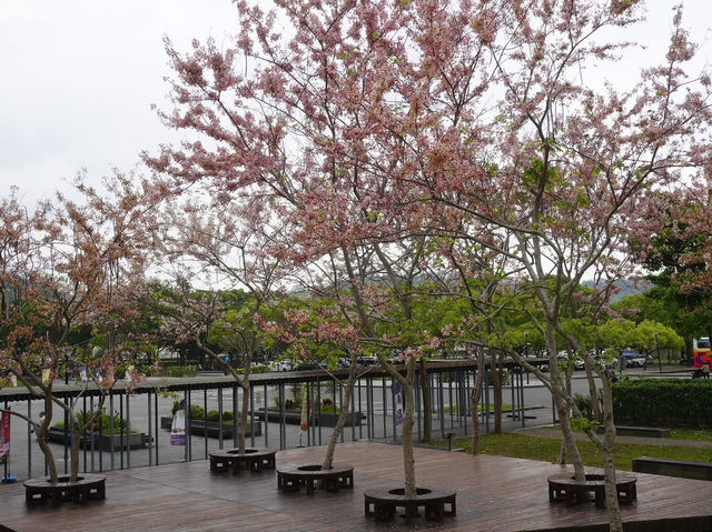 阿里山國家風景區-管理處暨觸口遊客中心