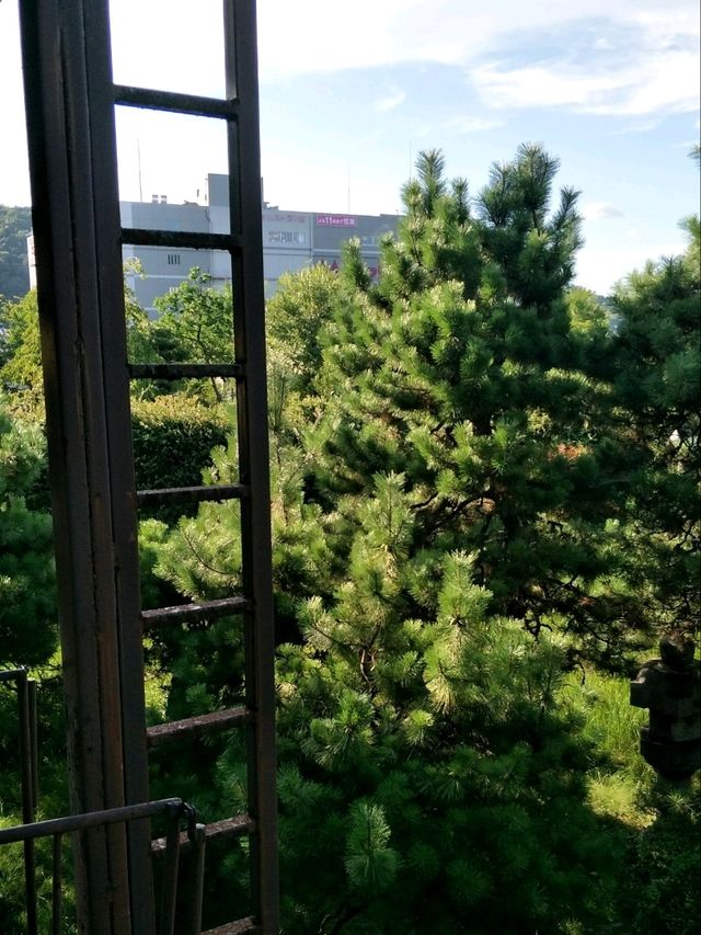 #清輝楼日式旅館歷史博物館酒店-日本京都府宮津市