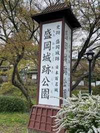 Morioka Castle Ruins Park Cherry Blossoms-Iwate's Pink Fortress