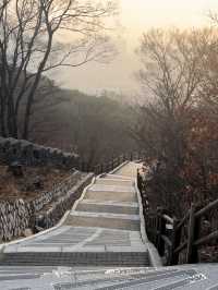 【韓国/ソウル】南山タワーを見ながらお散歩《南山公園》