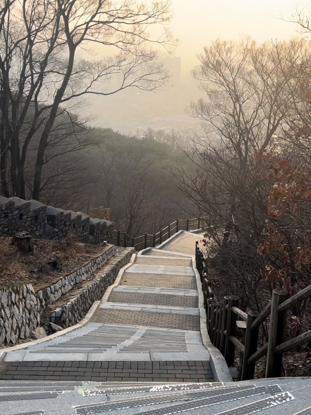 【韓国/ソウル】南山タワーを見ながらお散歩《南山公園》