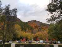 Arrowtown - the golden township in NZ South Island