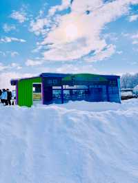 【北海道】美瑛四季彩之丘雪上電單車體驗
