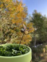 Wenden in Autumn: Where German Countryside Turns into a Golden Canvas