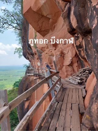 ภูทอก – เหนื่อยแต่โคตรคุ้ม!