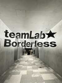 日本東京Teamlab Borderless