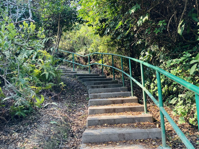 橋咀行山觀景～新手行山