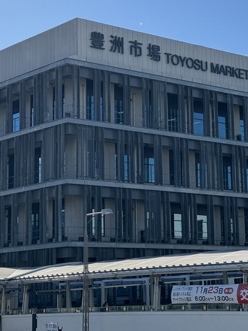 東京豐洲魚市場美食攻略｜新鮮海味與地道滋味