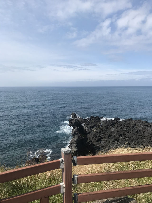 뚜벅이의 제주 혼자여행 마지막 날 🐳