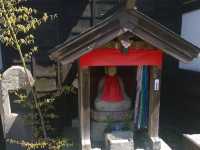 Cherry Blossoms in April: Japan's Hidden Garden Gems