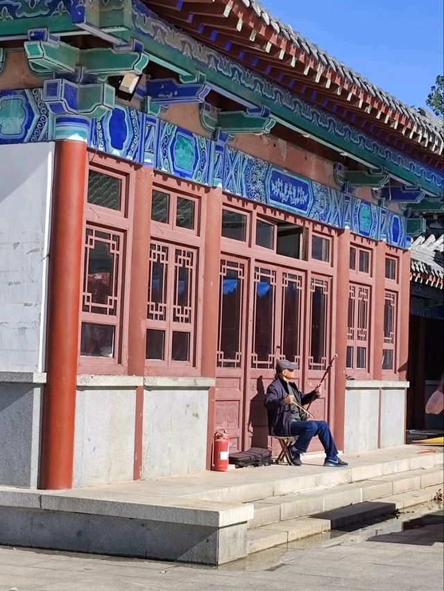 千佛山仰望眾佛