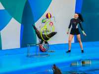 Title: Dive into Delight: A Day at Pattaya Dolphinarium