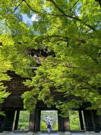 【京都】新緑の京都を楽しむ 青紅葉が美しい南禅寺から