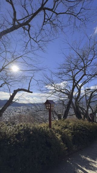 Climbing to Chureito Pagoda: A Serene Hike for Gorgeous Views of Mount Fuji